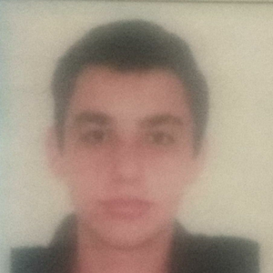 Foto de perfil de Pedro