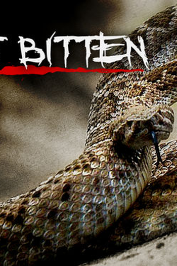 Poster de Série Fui Mordido (2008)