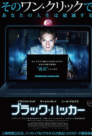 Poster 9 de Filme Perseguição Virtual (2014)