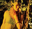 Crepúsculo das Ninfas de Gelo