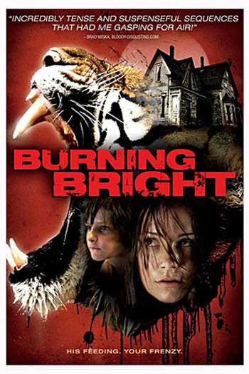  de Filme Nas Garras do Tigre (2010)