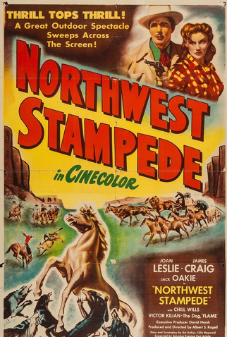 Poster 1 de Filme Força Contra Astúcia (1948)