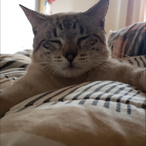 Foto de perfil de Karoline