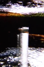 Jolly Ghosts (Jolly Ghosts)