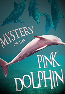The Mystery of the Pink Dolphin (The Mystery of the Pink Dolphin)