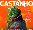 Castanho