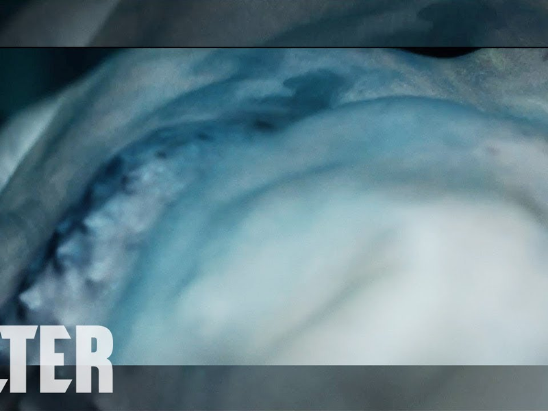 Foto 1 de God's Kingdom