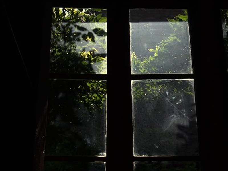 Foto 4 de El Otro Día