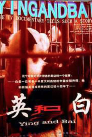 Poster 1 de Filme Ying and Bai (2002)