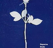 Depeche Mode: Enjoy the Silence