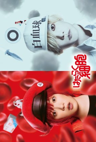 Poster 2 de Filme Cells at Work! (2024)