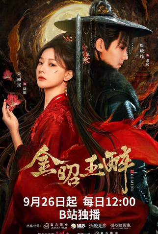 Poster 1 de Série Gemini (2025)