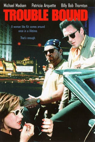 Poster 1 de Filme Arriscando Tudo (1993)