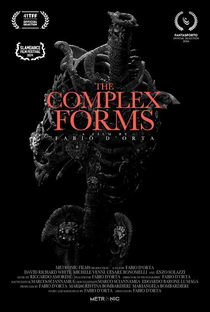 As Formas Complexas - Poster / Capa / Cartaz - Oficial 1