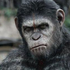 Cinema: Planeta dos Macacos - O Confronto