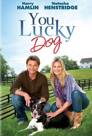 Poster 1 de Filme You Lucky Dog (2010)