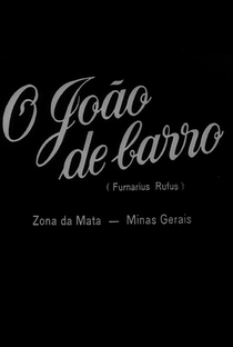 O João de Barro - Poster / Capa / Cartaz - Oficial 1