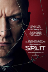 Fragmentado (Split)