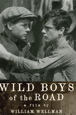 Idade Perigosa (Wild Boys of The Road)