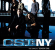 CSI: Nova Iorque (1ª Temporada)