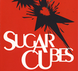 The  Sugarcubes ‎– Murder And Killing In Hell