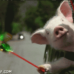 Foto de perfil de Marcelo Barioni Fadel