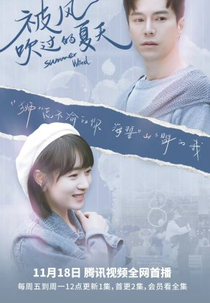 Summer Wind (被风吹过的夏天)