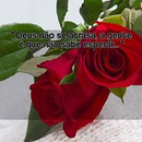 Foto de perfil de Marilu