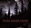 Dark Shade Creek 