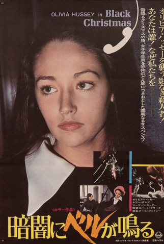 Poster 12 de Filme Noite do Terror (1974)