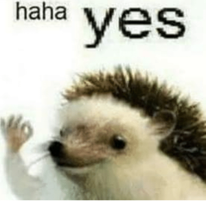 Foto de perfil de Alexandre Chamon