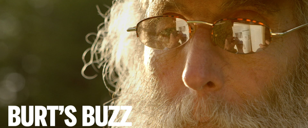 BURT'S BUZZ Trailer | New Release 2014