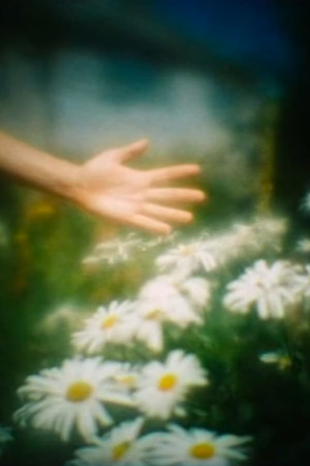 Poster de Curta Camera Obscura (2000)