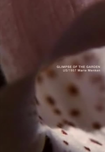 Glimpse of the Garden (Glimpse of the Garden)