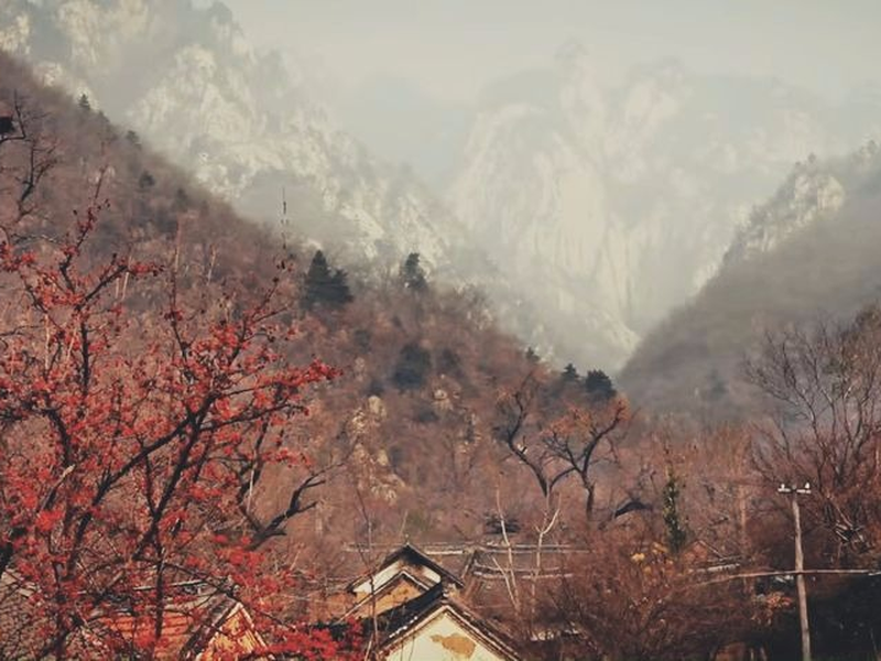 Foto 3 de The Reading Boy