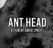 Ant Head