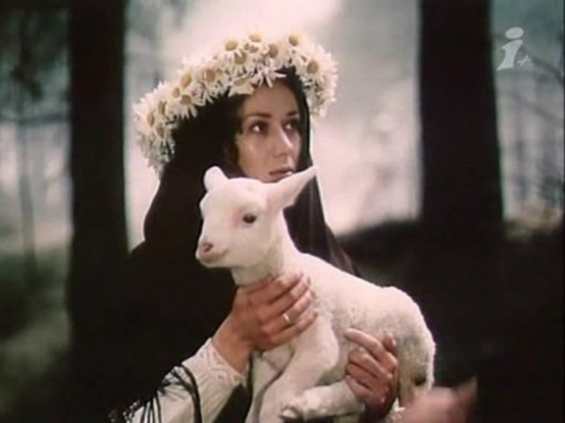 Foto 2 de Felicidade Roubada