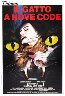 O Gato de Nove Caudas - Poster / Capa / Cartaz - Oficial 8