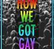 How We Got Gay