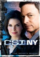 CSI: Nova Iorque (7ª Temporada) (CSI: NY (Season 7))