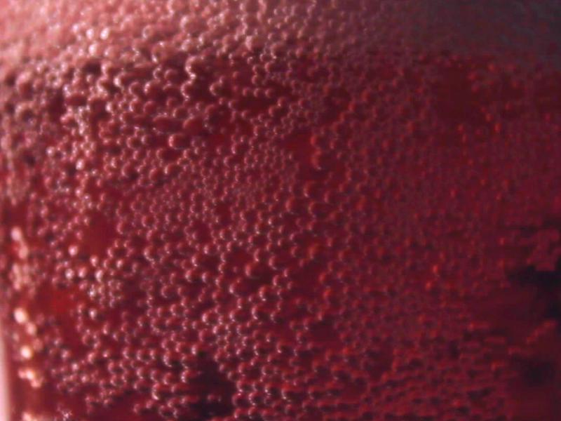 Foto 1 de O Membro Decaído