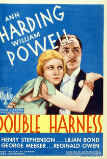 Double Harness - Poster / Capa / Cartaz - Oficial 1