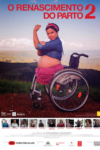 Poster de Filme O Renascimento do Parto 2 (2018)