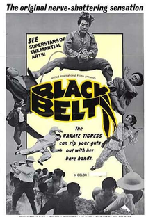 The Black Belt - Poster / Capa / Cartaz - Oficial 1