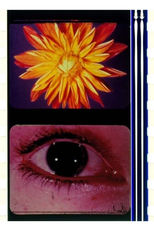 To the Happy Few (To the Happy Few)