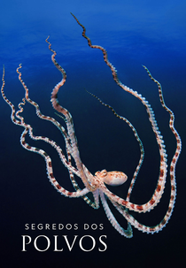 Segredos dos Polvos (Secrets of the Octopus)