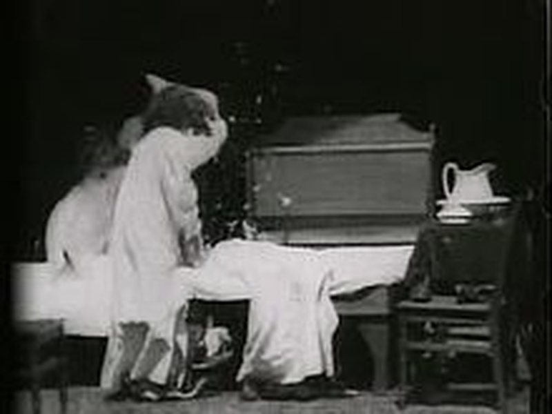 Foto 1 de Pillow Fight