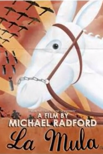  de Filme A Mula (2012)