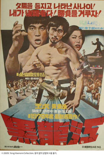 Poster de Filme Black Dragon River (1976)