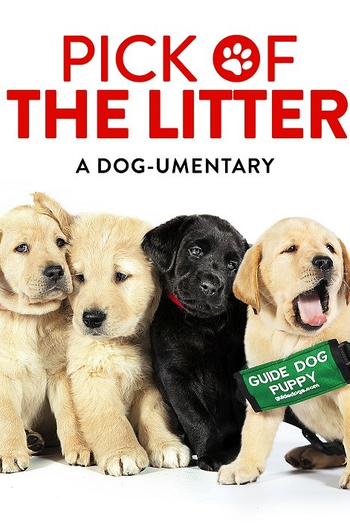  de Filme A Escolha da Ninhada (2018)